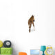 Foal Wall Decal