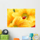 Ladybug Yellow Flower