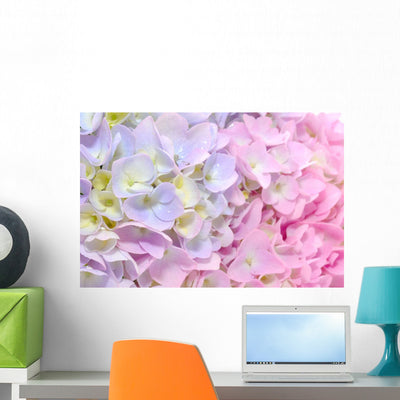 Beautiful Purple and Pink shown on a wall