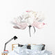 White Peony Flower