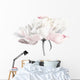 White Peony Flower