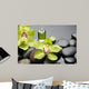 Bottle Essential Oil and