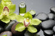 Bottle Essential Oil and