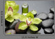 Bottle Essential Oil and