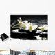Zen Stones and Branch Wall Mural