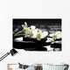 Zen Stones and Branch Wall Mural