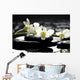 Zen Stones and Branch Wall Mural
