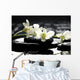 Zen Stones and Branch Wall Mural
