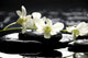 Zen Stones and Branch Wall Mural