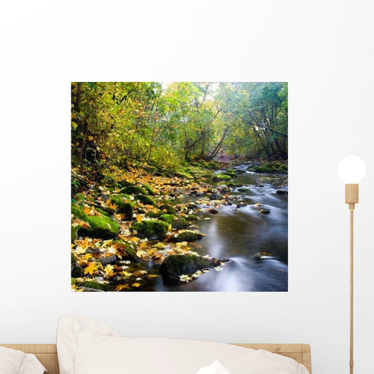 River with Yellow Leaves Wall Decal