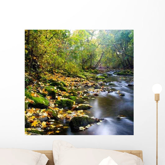 River with Yellow Leaves Wall Decal