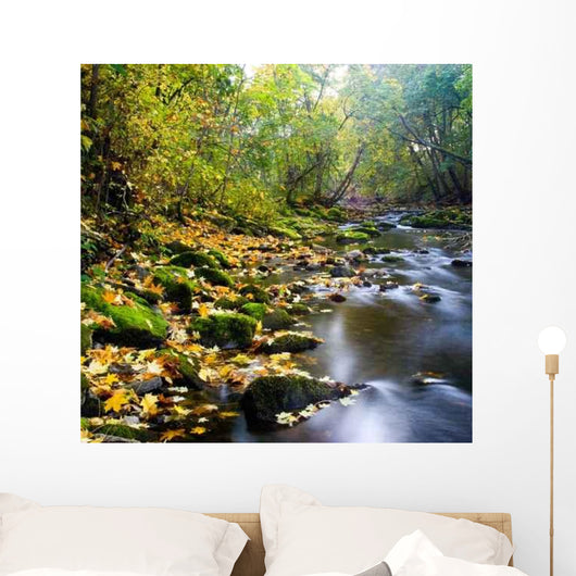 River with Yellow Leaves Wall Decal