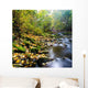 River with Yellow Leaves Wall Decal
