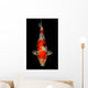 Sanke Koi Wall Mural