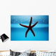 Seestern Aquarium Wall Mural
