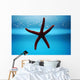 Seestern Aquarium Wall Mural