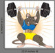 Gym Rat