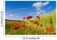 wheat field and poppies Wall Mural