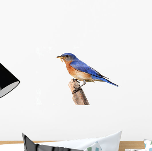 Perched Bluebird Wall Decal