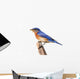Perched Bluebird Wall Decal