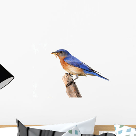 Perched Bluebird Wall Decal
