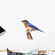 Perched Bluebird Wall Decal