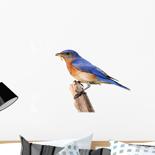 Perched Bluebird Wall Decal
