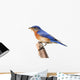 Perched Bluebird Wall Decal