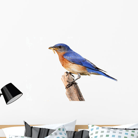 Perched Bluebird Wall Decal