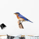 Perched Bluebird Wall Decal