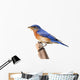 Perched Bluebird Wall Decal