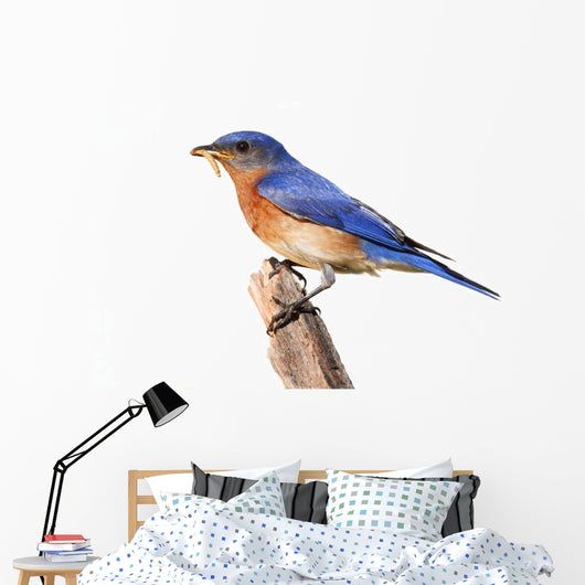 Perched Bluebird Wall Decal