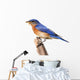 Perched Bluebird Wall Decal