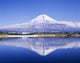 Reflection Mount Fuji Wall Mural