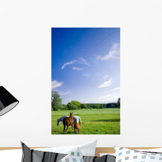 Horses Enjoy Grass Green Wall Decal