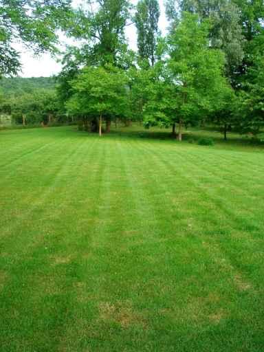 Green Grass Garden Wall Decal Design 2