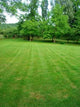 Green Grass Garden Wall Decal Design 2