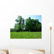 Green Grass Garden Wall Decal Design 1