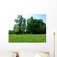 Green Grass Garden Wall Decal Design 1