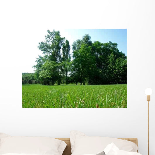 Green Grass Garden Wall Decal Design 1