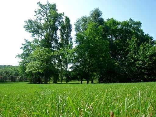 Green Grass Garden Wall Decal Design 1