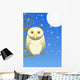 Night Owl