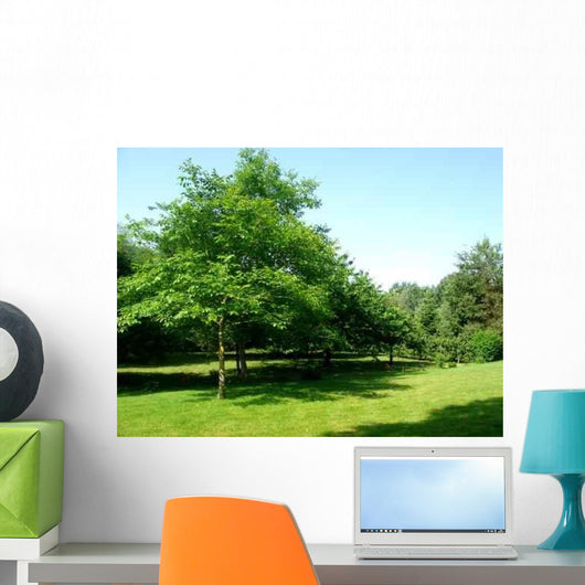 Garden Wall Decal Design 1