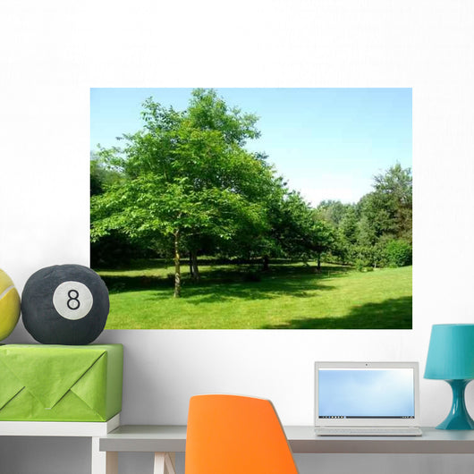Garden Wall Decal Design 1