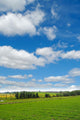 Idylic Farmlandscape