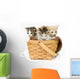 Three Kittens in a Basket Wall Decal