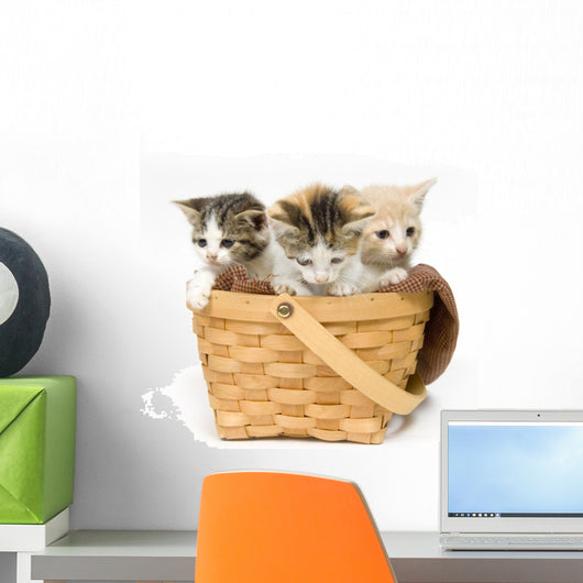 Three Kittens in a Basket Wall Decal