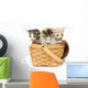 Three Kittens in a Basket Wall Decal