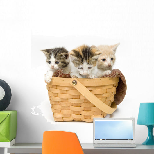 Three Kittens in a Basket Wall Decal