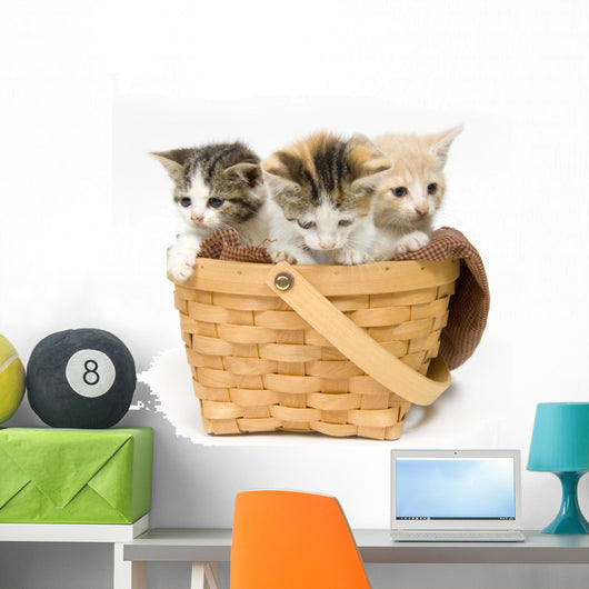 Three Kittens in a Basket Wall Decal